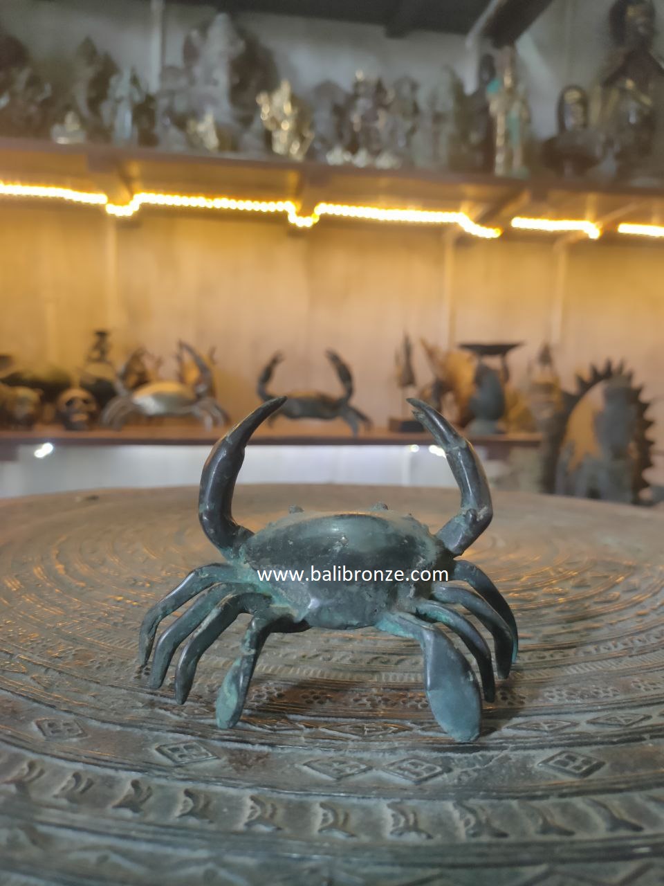 1218 Crab 15 cm NMI
