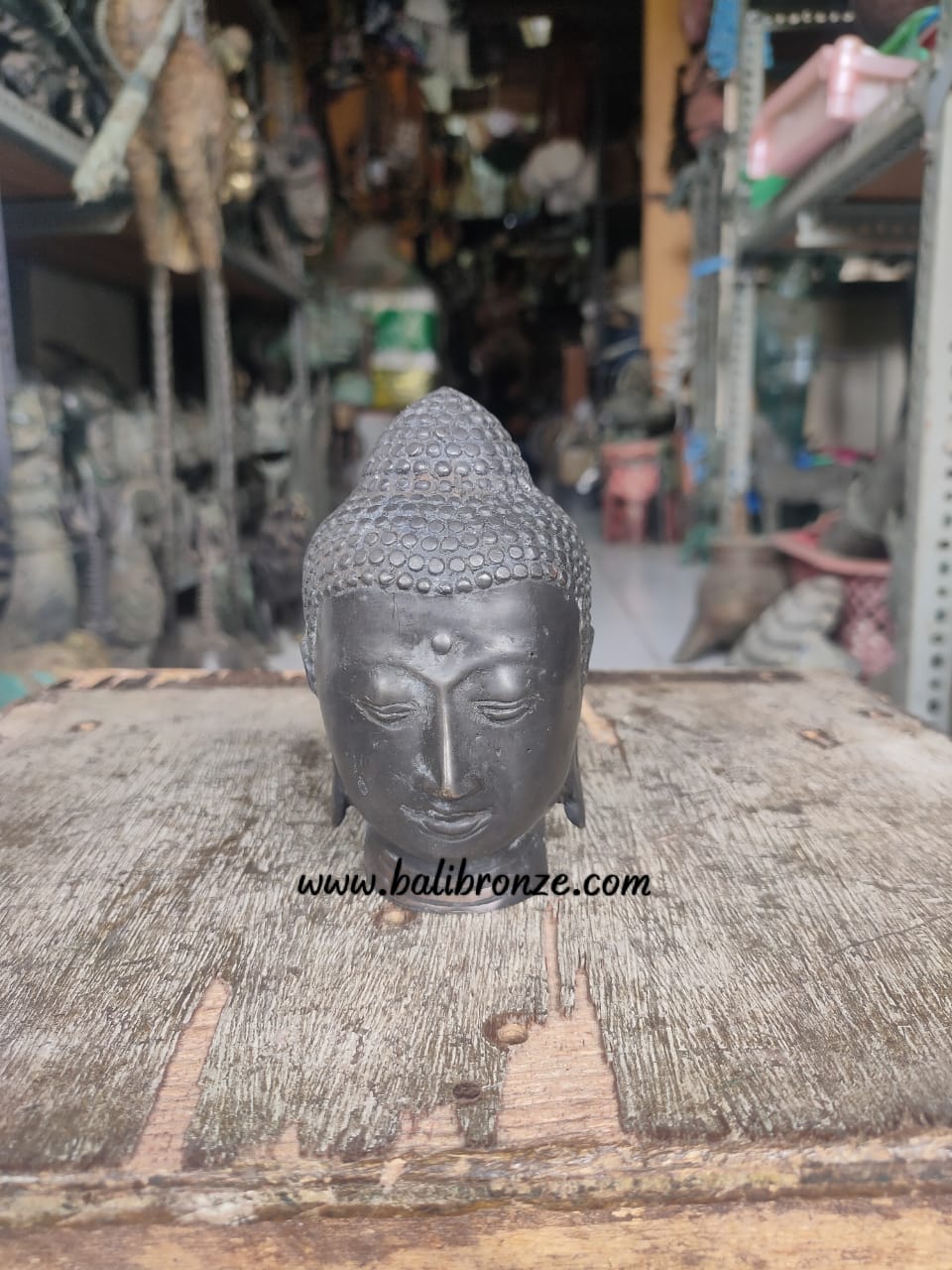 1136 Budha Head 8 cm TGDY
